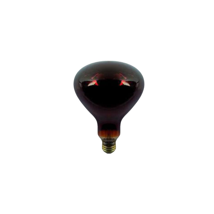 FOCO R40 250W INFRARO ROJO 130V S00017