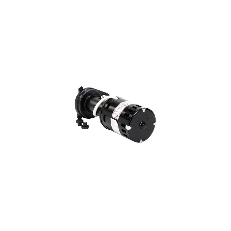 BOMBA DE AGUA  230V  GPP-3MH-2P 9161079-02