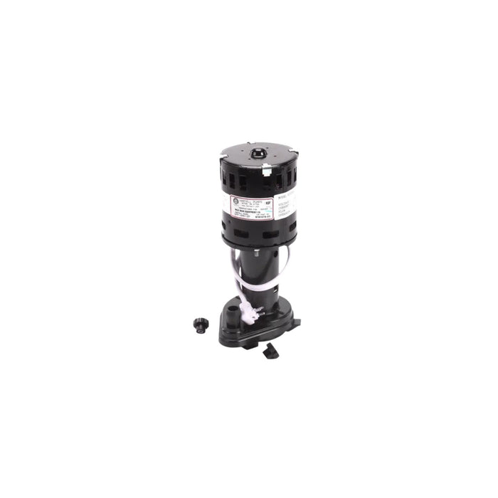 BOMBA DE AGUA 230V GPP-4MH-2P 9161079-03