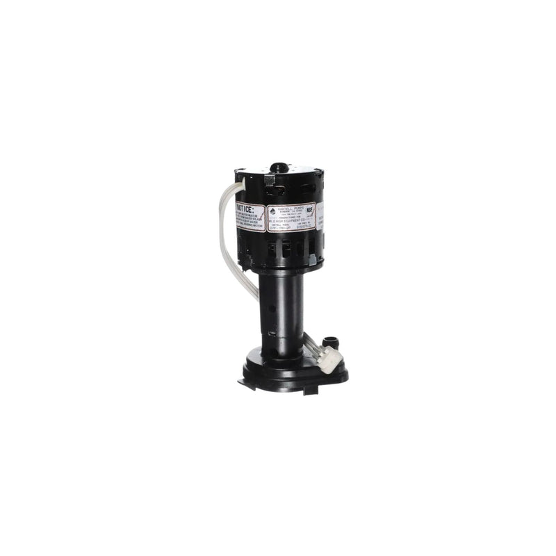 BOMBA DE AGUA 230V GPP-1MH-2P 9161076-02