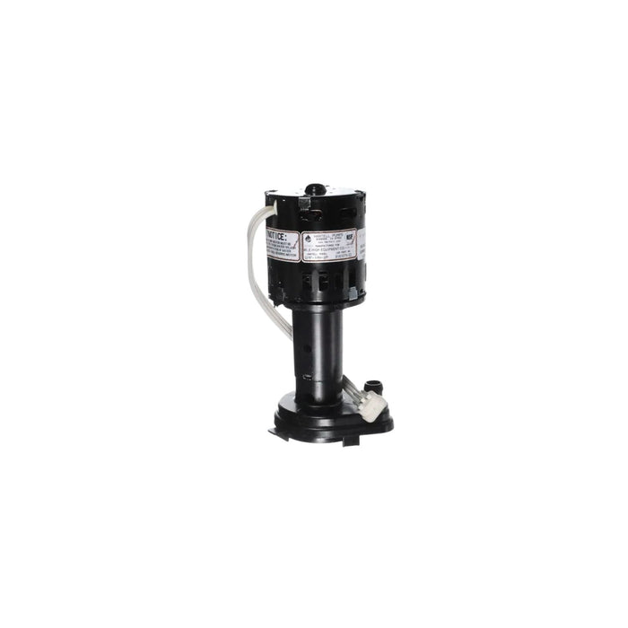BOMBA DE AGUA 230V GPP-1MH-2P 9161076-02